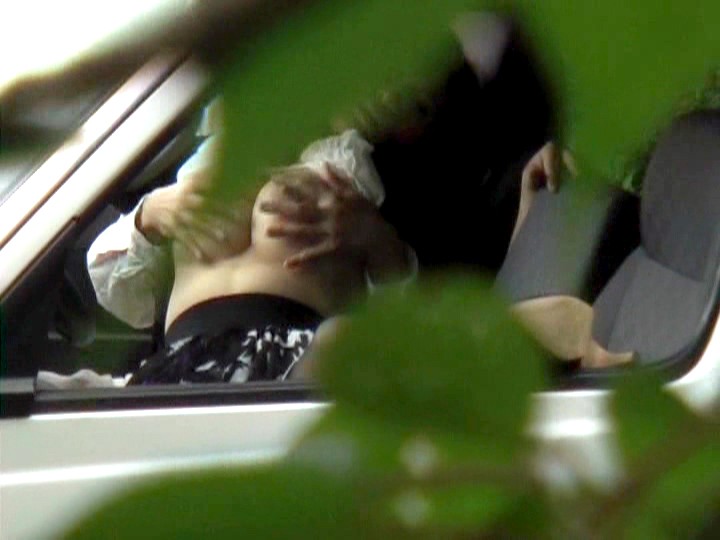 サンプル画像 7