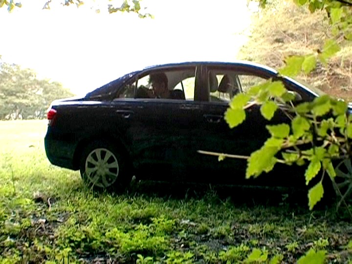 サンプル画像 16