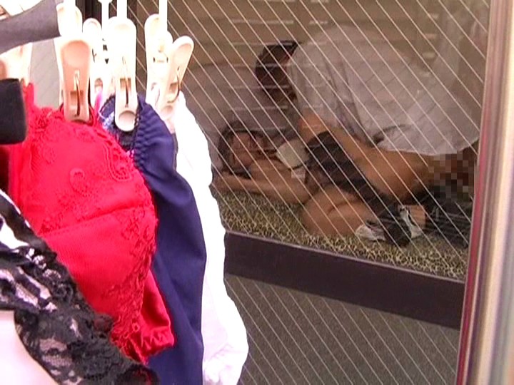 サンプル画像 13