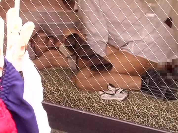 サンプル画像 13