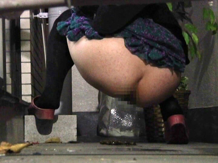 サンプル画像 12