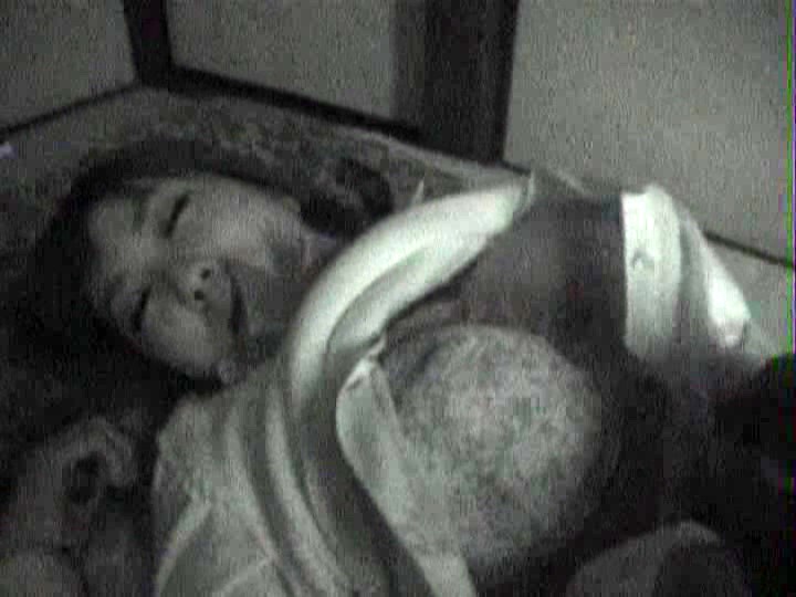 サンプル画像 16