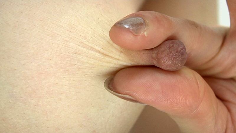 サンプル画像 8