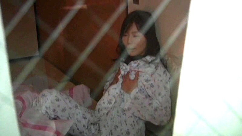 サンプル画像 12