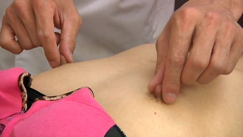 サンプル画像 15