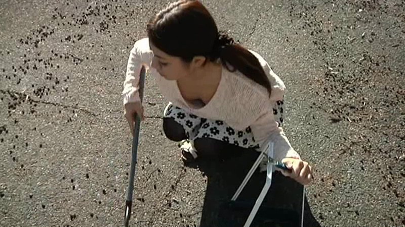 サンプル画像 20