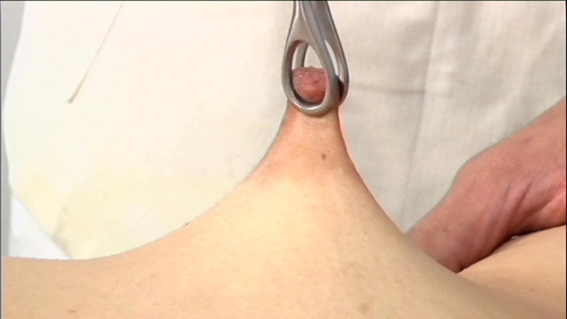 サンプル画像 16