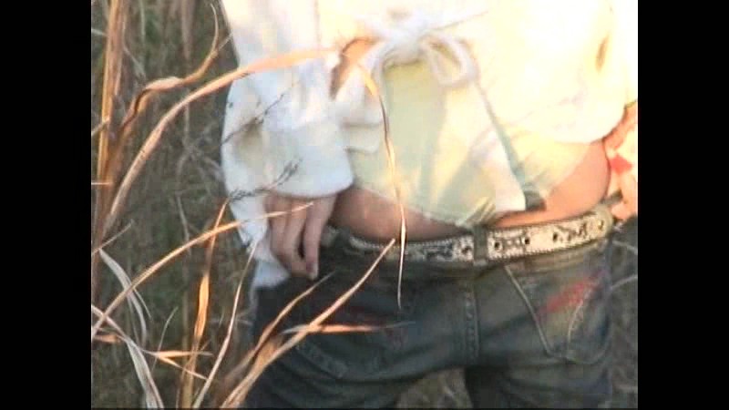 サンプル画像 10