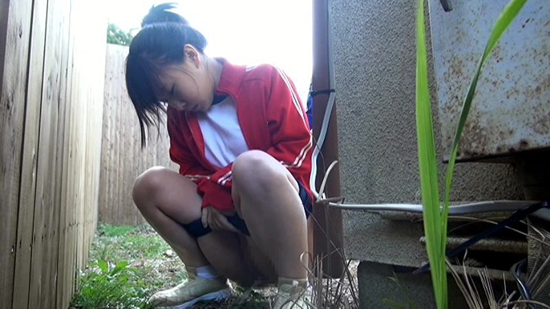 サンプル画像 14