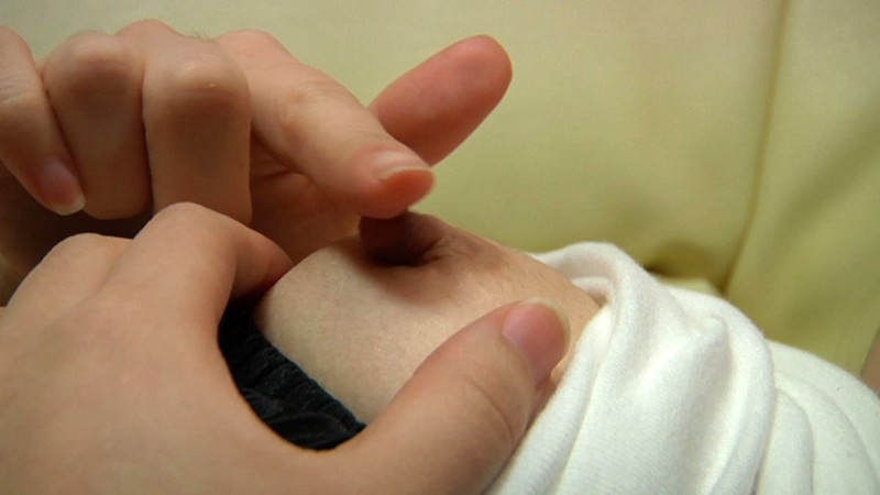 サンプル画像 5