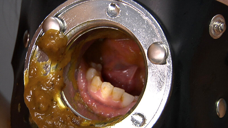 サンプル画像 12