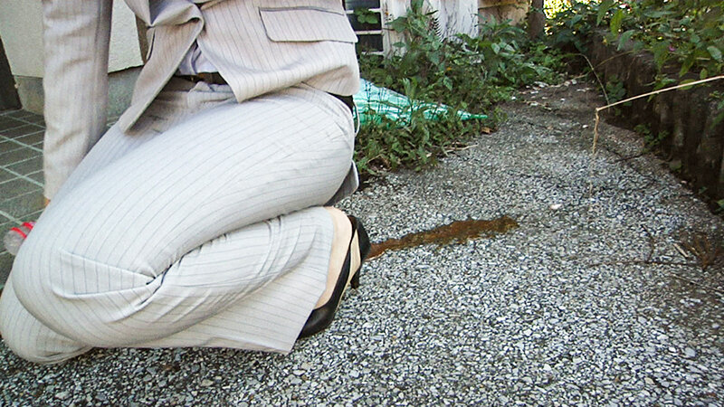 サンプル画像 9