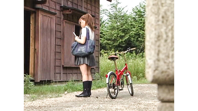 サンプル画像 13