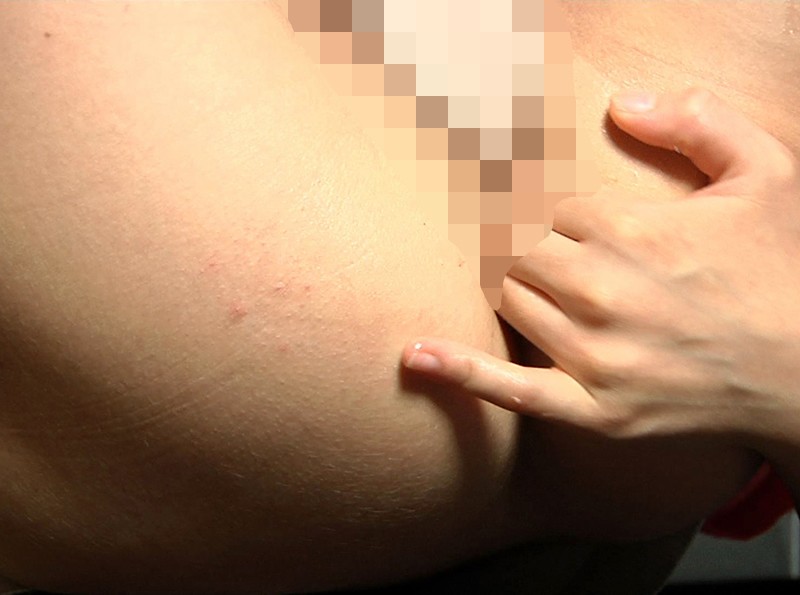 サンプル画像 5