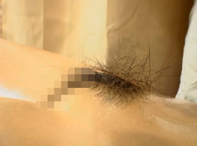 サンプル画像 20