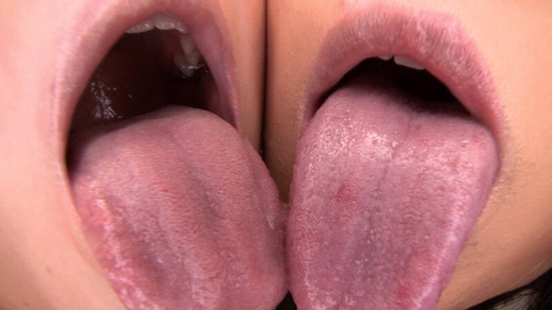 サンプル画像 13