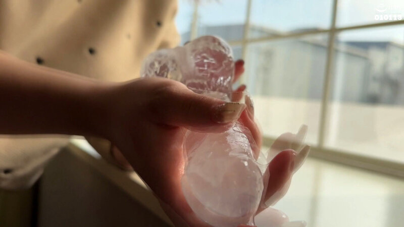 サンプル画像 14