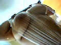 サンプル画像 32