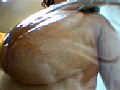 サンプル画像 8
