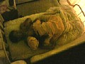 サンプル画像 22