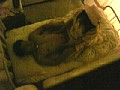 サンプル画像 23