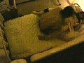 サンプル画像 25