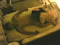 サンプル画像 26