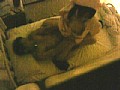 サンプル画像 27