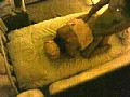 サンプル画像 28