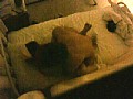 サンプル画像 29