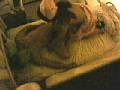 サンプル画像 30