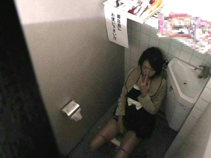 サンプル画像 13