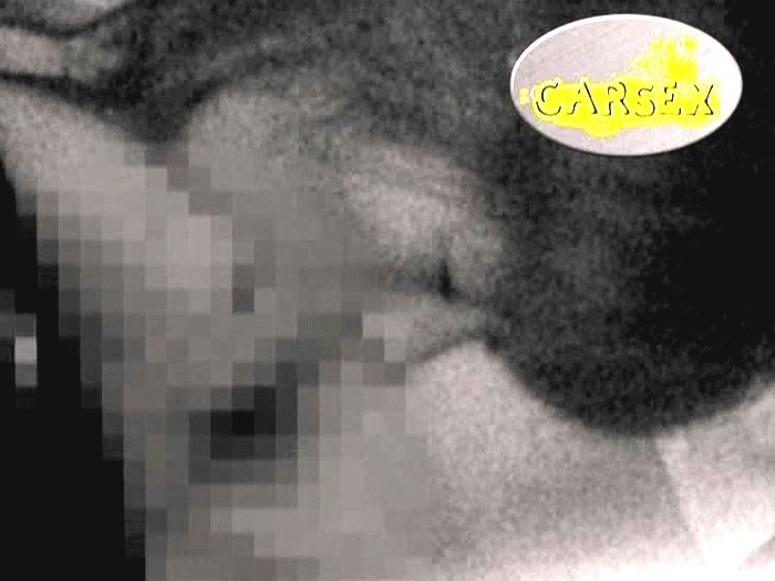 サンプル画像 17