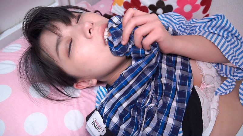 サンプル画像 3