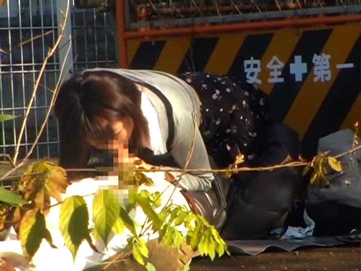 サンプル画像 17