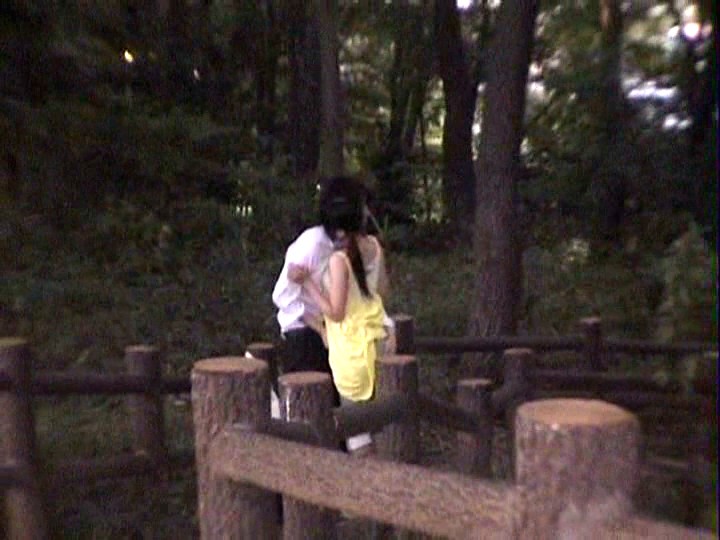 サンプル画像 14