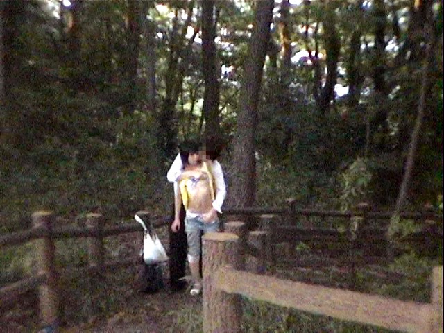 サンプル画像 13