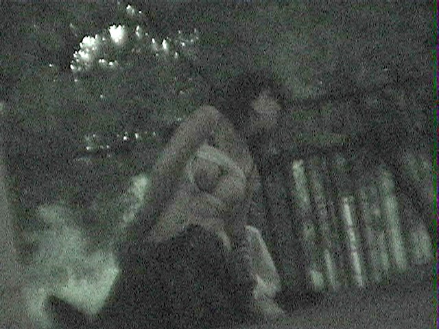 サンプル画像 8