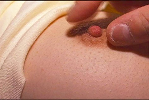 サンプル画像 21