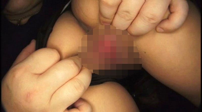 サンプル画像 5