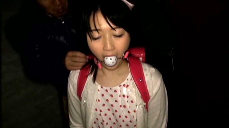 サンプル画像 8