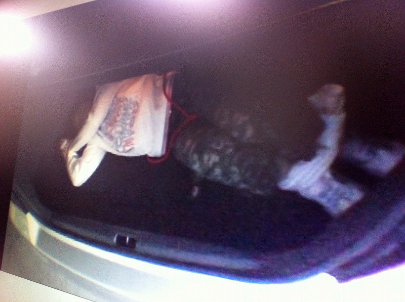 サンプル画像 12