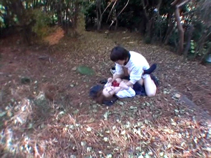 サンプル画像 12