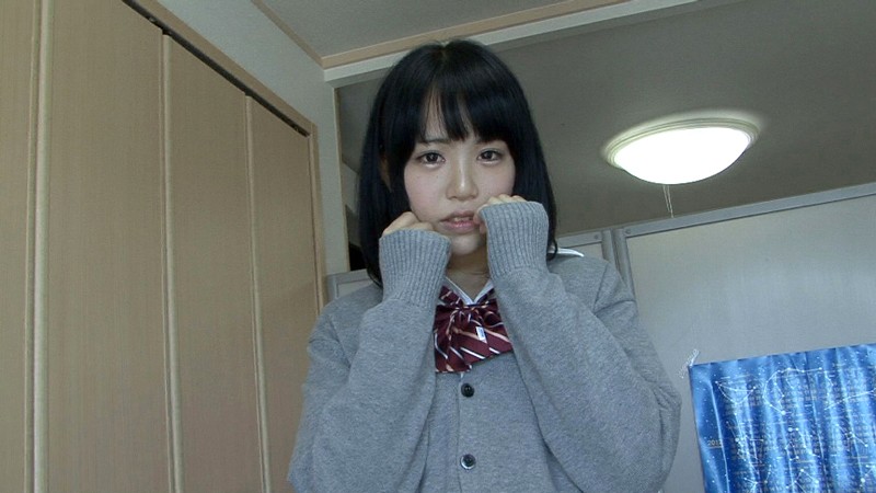 サンプル画像 3