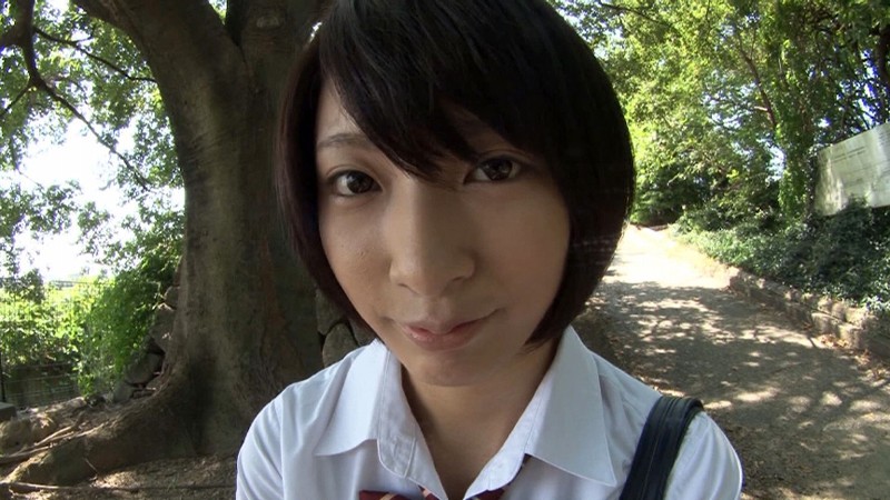 サンプル画像 3