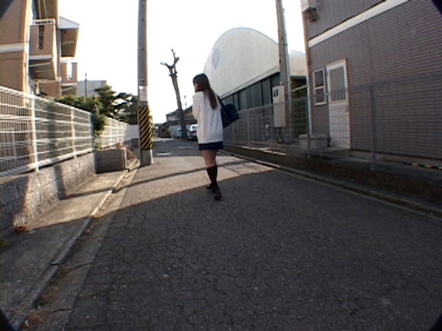 サンプル画像 2