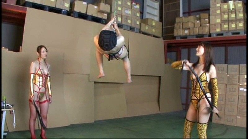 サンプル画像 11