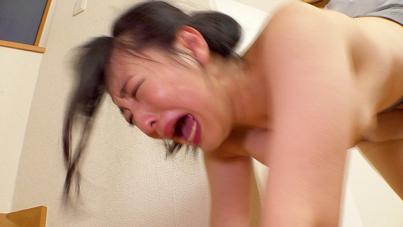 サンプル画像 11