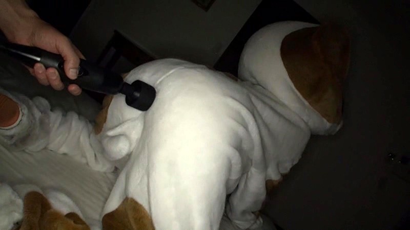 サンプル画像 3