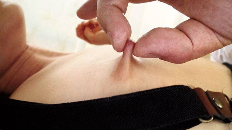 サンプル画像 7